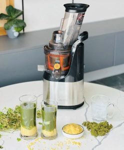 Cách làm nước ép rau má đậu xanh cốt dừa bằng máy ép chậm Kalite KL-565